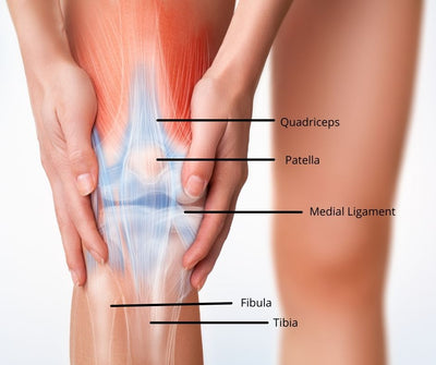 So You Have A Sore Knee Blog